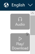 The Media buttons