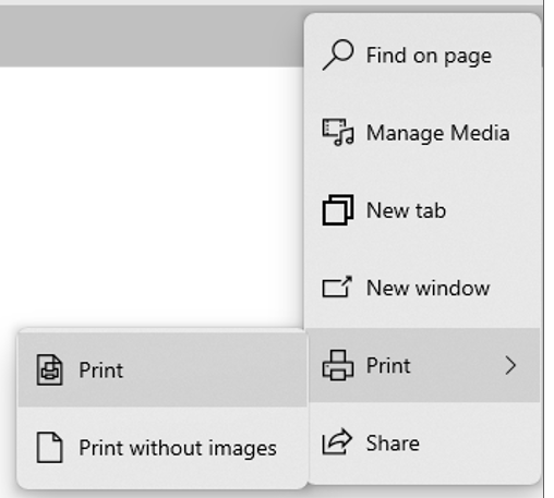 The print menu.